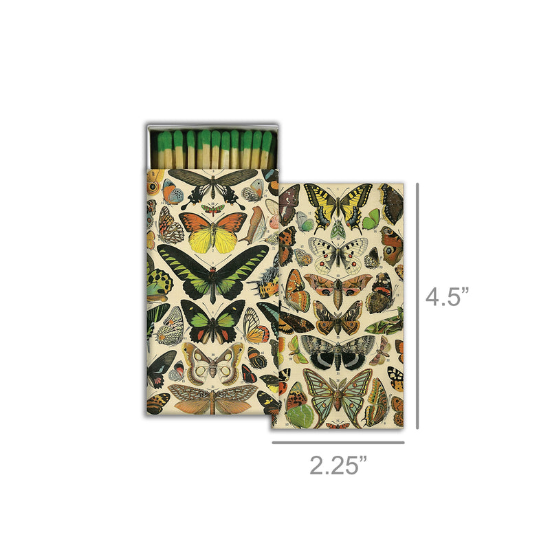 Butterfly Specimens Matches