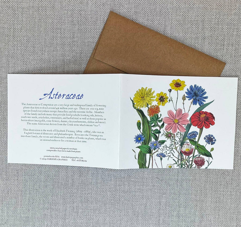 Asters Card