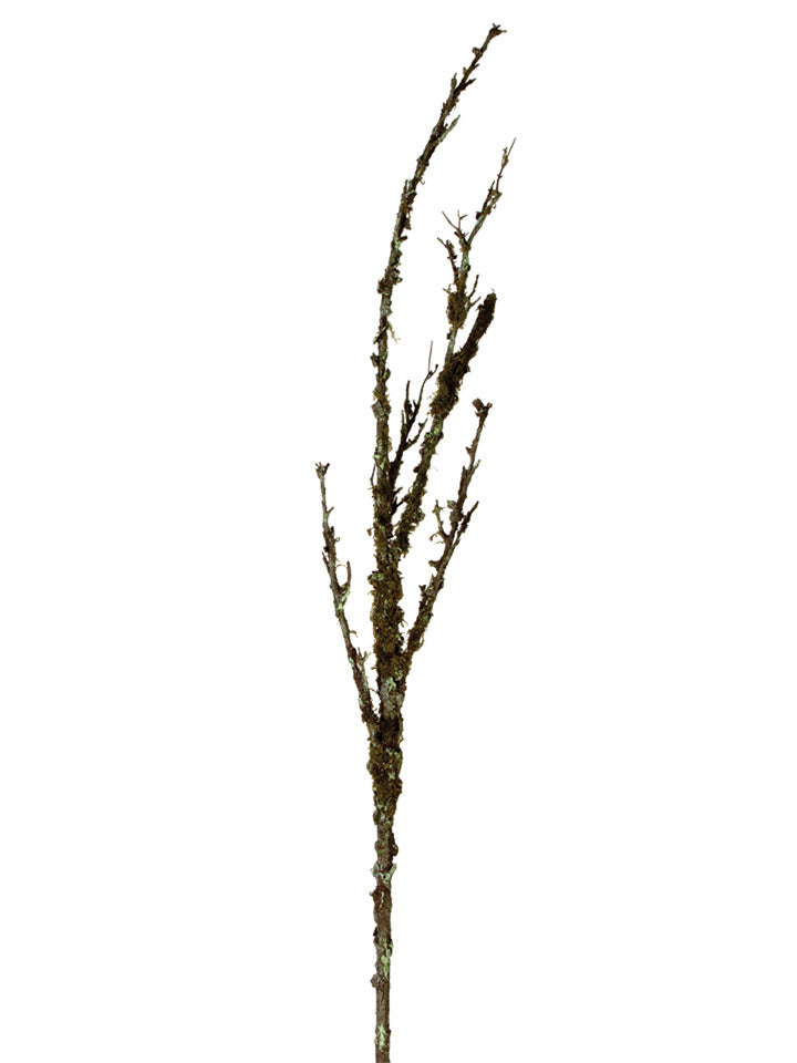 56 Inch Twig Branch with Moss Large A