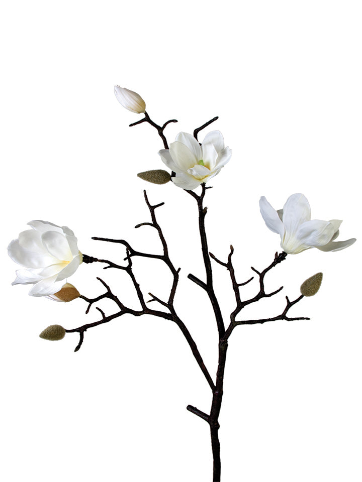 32 Inch Saucer Magnolia Spray Medium