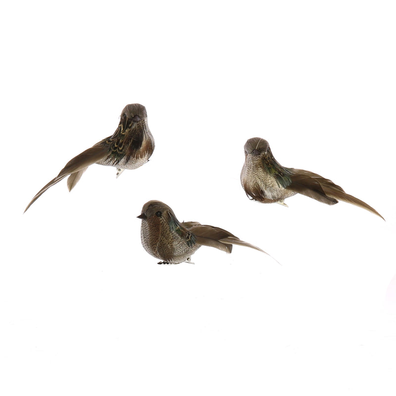 Birds on Clips - Box of 3