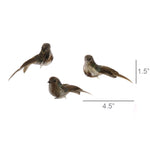 Birds on Clips - Box of 3