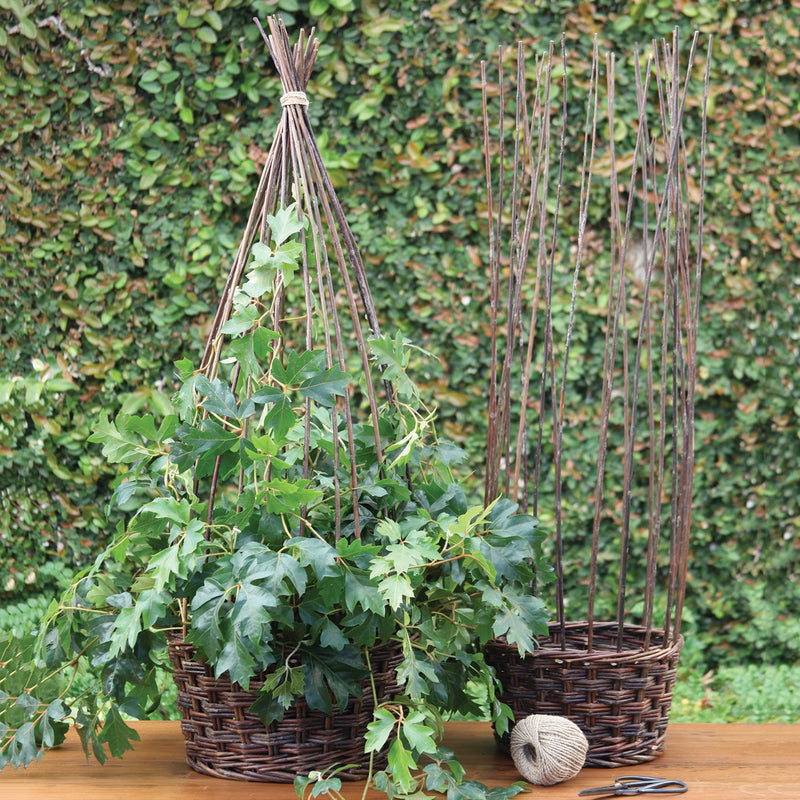 Willow Gathered Basket - Natural