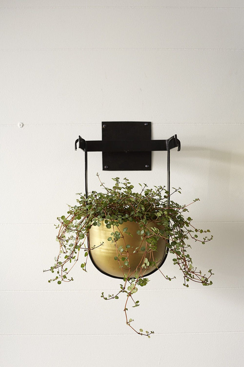 Brass Hanging Pot - Medium