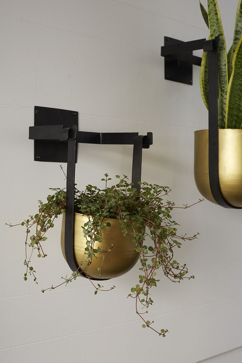 Brass Hanging Pot - Medium