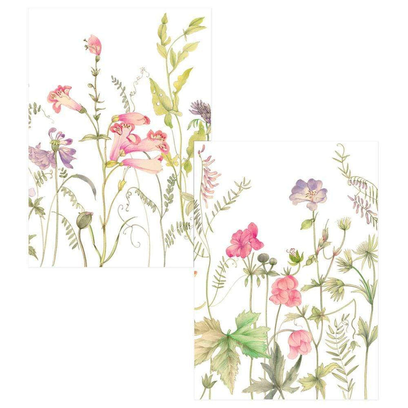 French Floral Boxed Note Cards - 8 Note Cards & 8 Envelopes