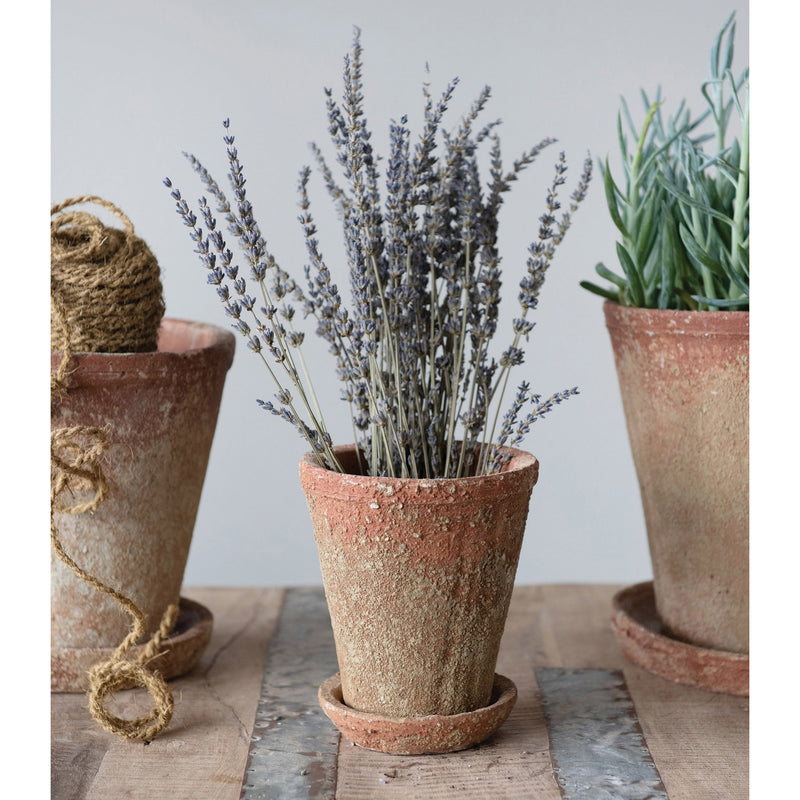 cement planter saucer Distressed Medium Cement Planter with Saucer – ACQUIRE and Company