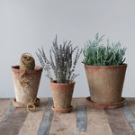 Distressed Large Cement Planter with Saucer