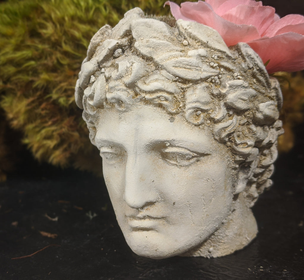 greek head planter pot Greek Head with Leaves Pot Concrete Statue – ACQUIRE and Company