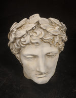 Greek Head with Leaves Pot Concrete Statue