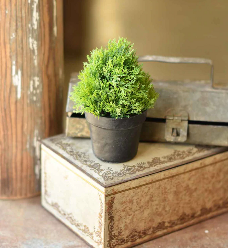 Greenpoint Pot - 5.5 inches