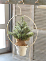 Hanging Halo Container | 21"