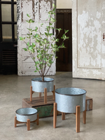 Rockland Planter | Assorted Sizes