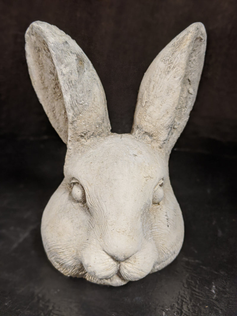 Pig Head Rabbit Rabbit Head Front