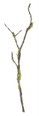 Mossy Stick 48" Brown/Green