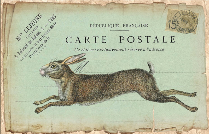 The Running Hare Note Card