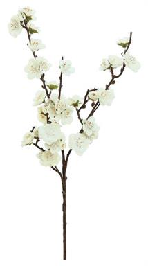 Velvet Cherry Blossom Pick 18" Cream