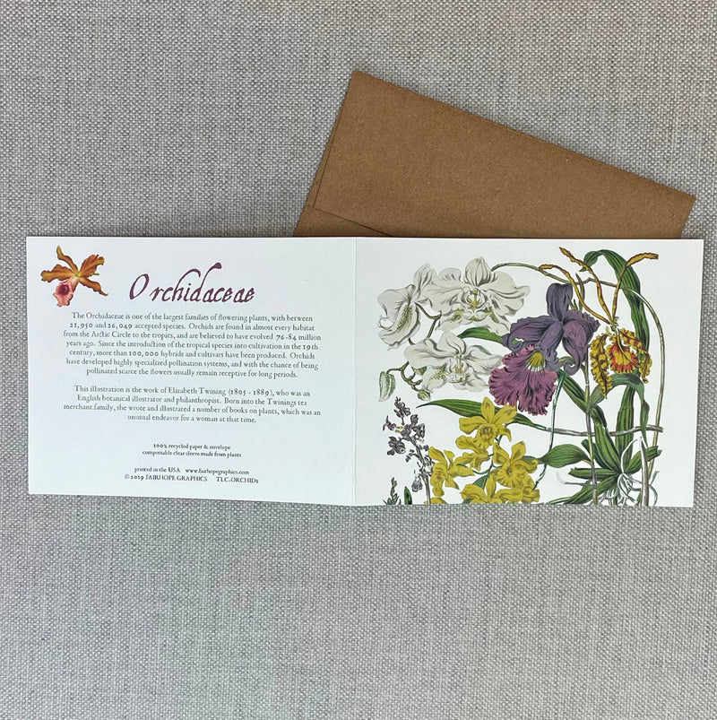 Orchid Card